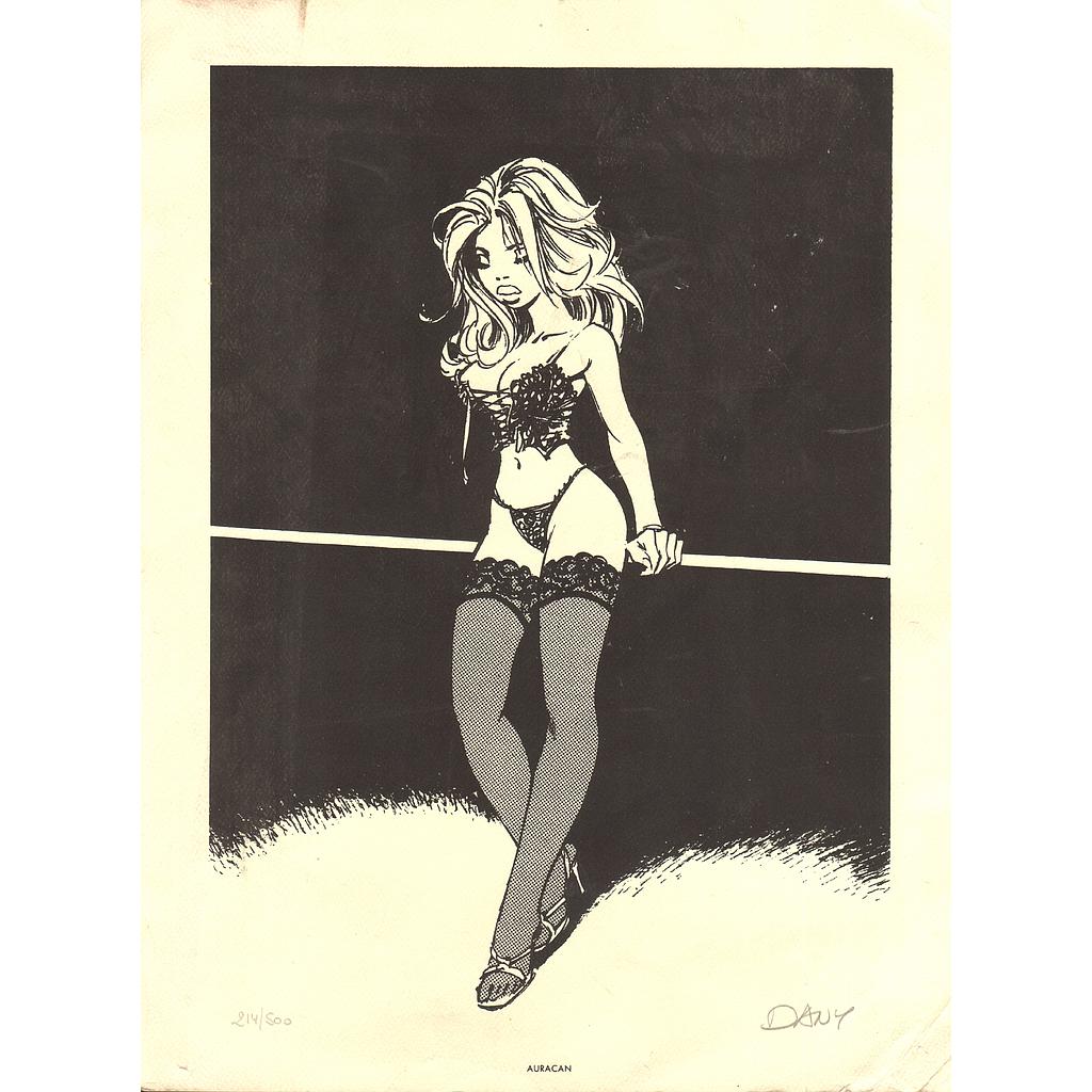 Dany lingerie (Auracan)