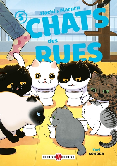 Hachi & Maruru - Chats des rues - T05